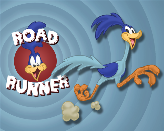 Our Partners — Roadrunner MVD Services LLC